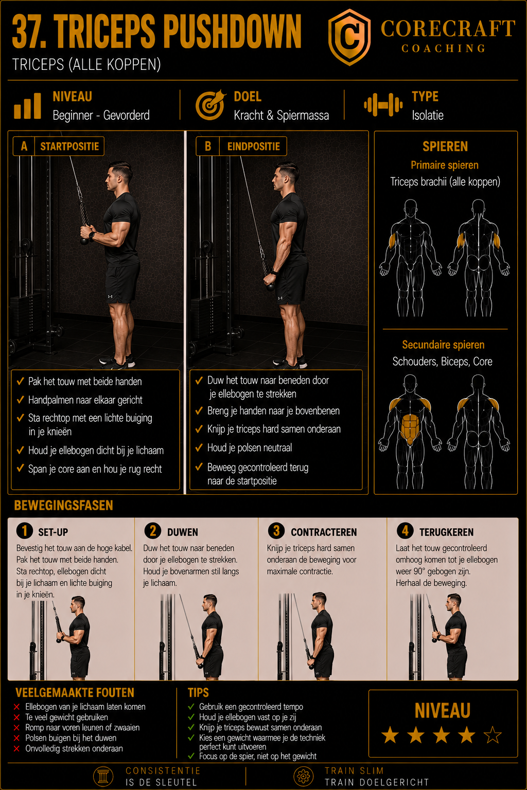 Geïllustreerde techniekgids voor Triceps pushdown